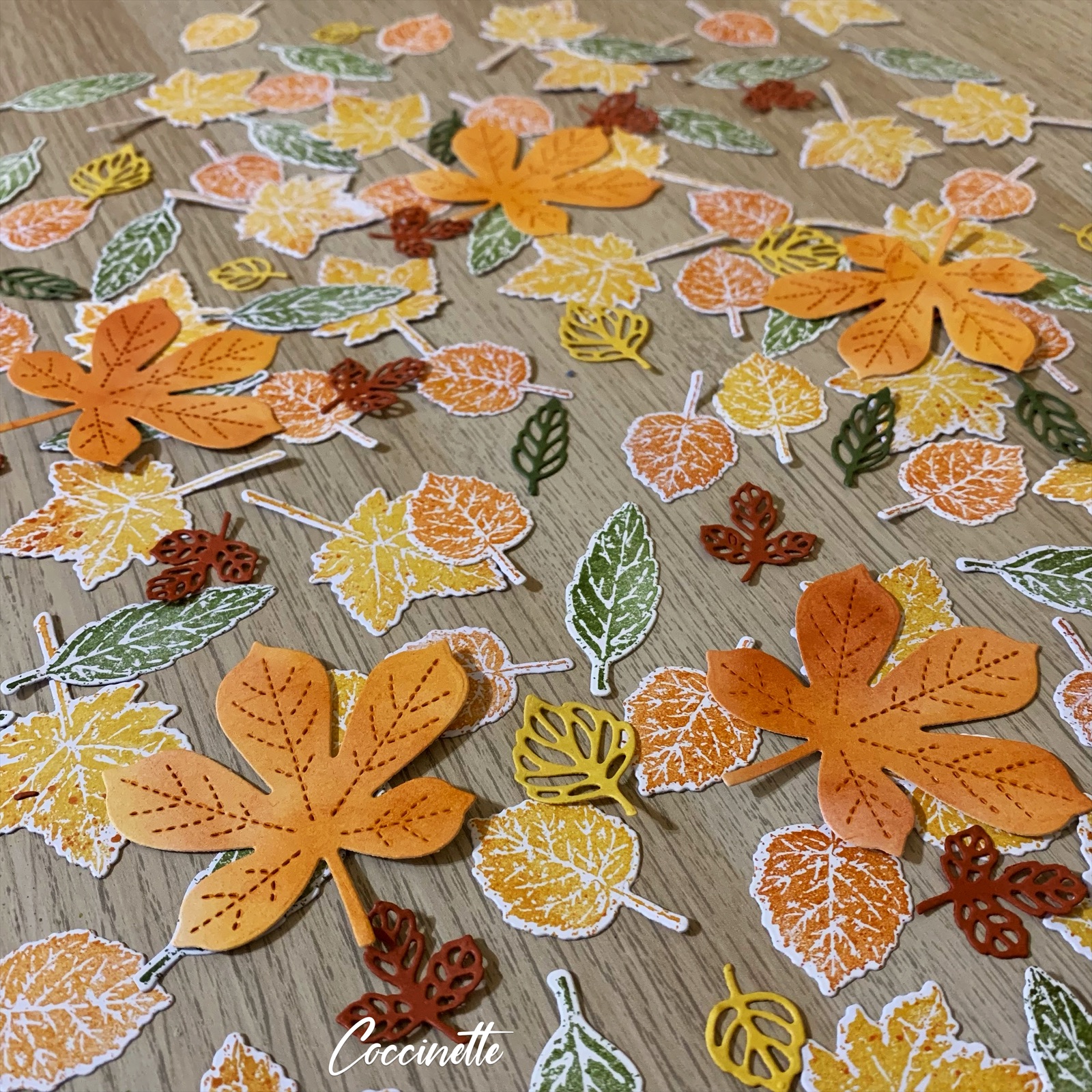 Tas de feuilles colorées