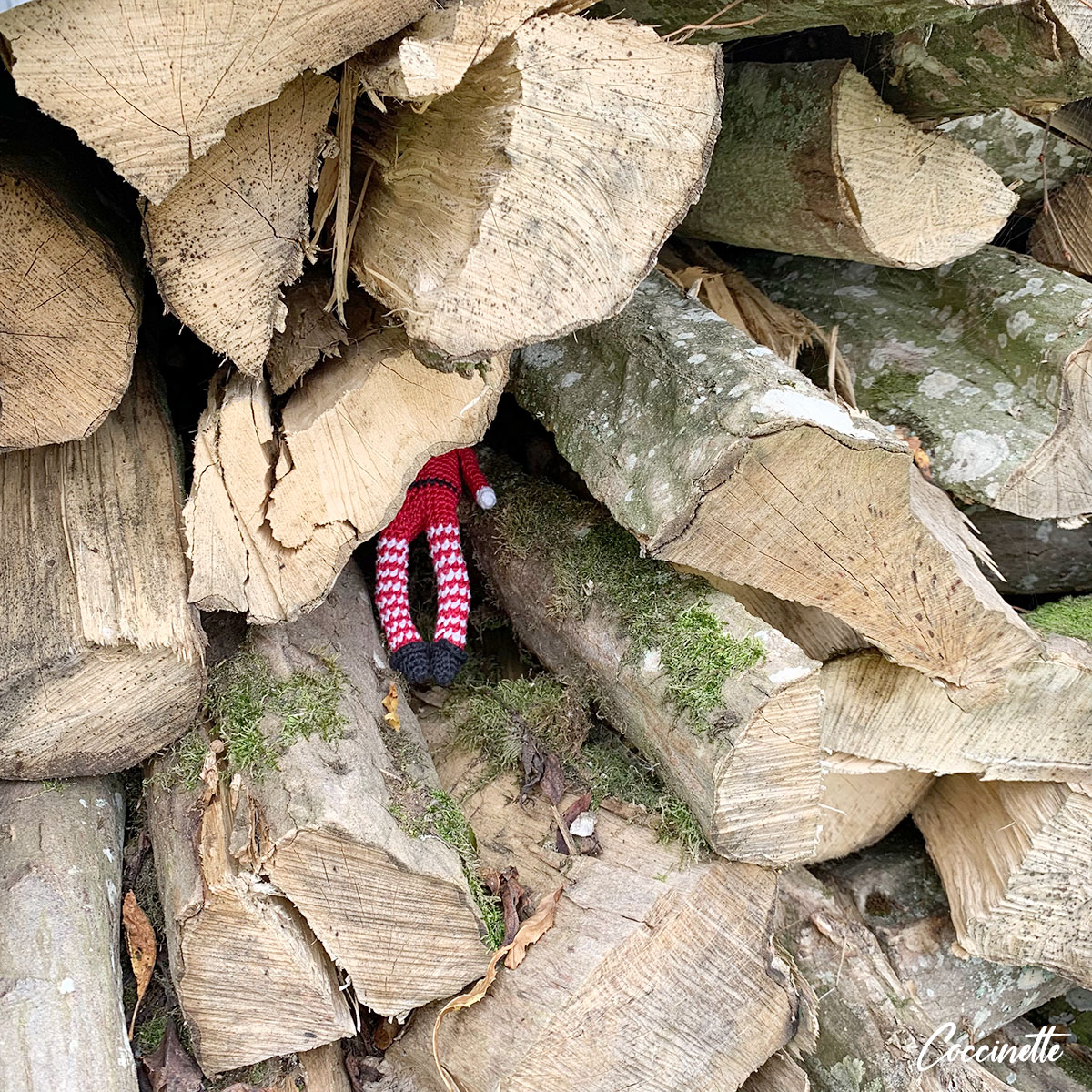 Caché dans le tas de bois